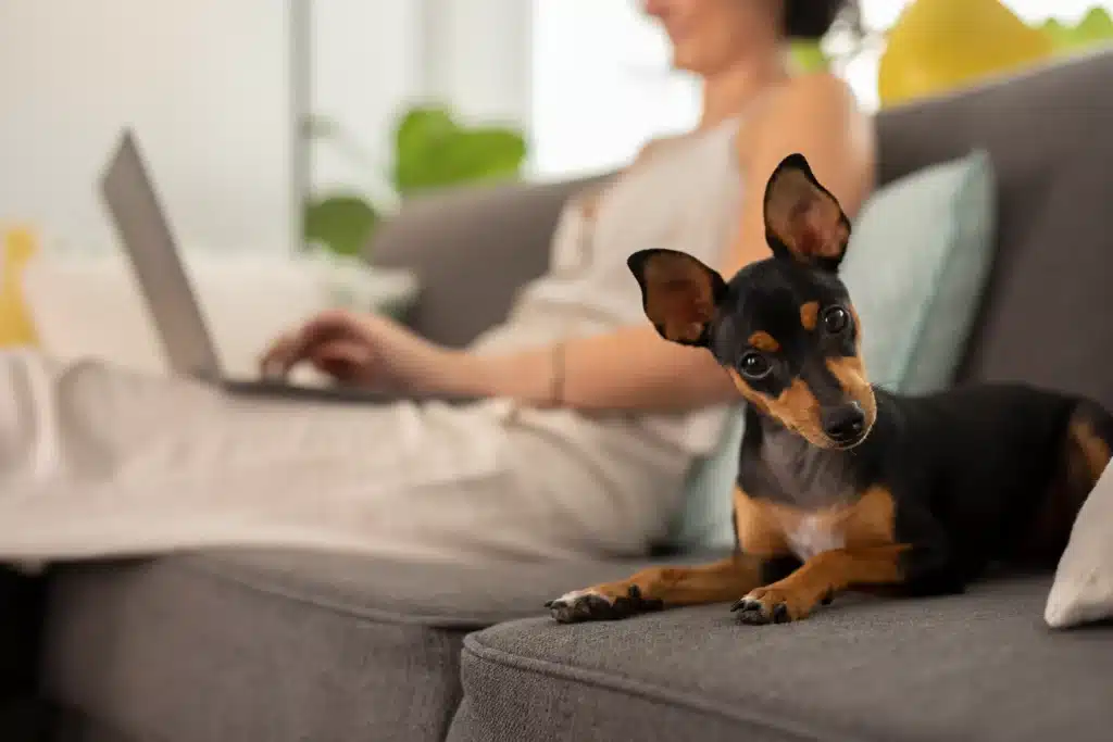 dog with owner for lease addendums for pets